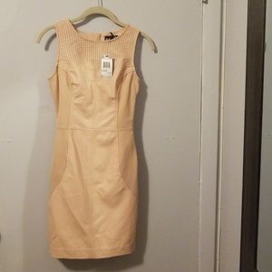 Buffalo David Bitton Cameo Dress